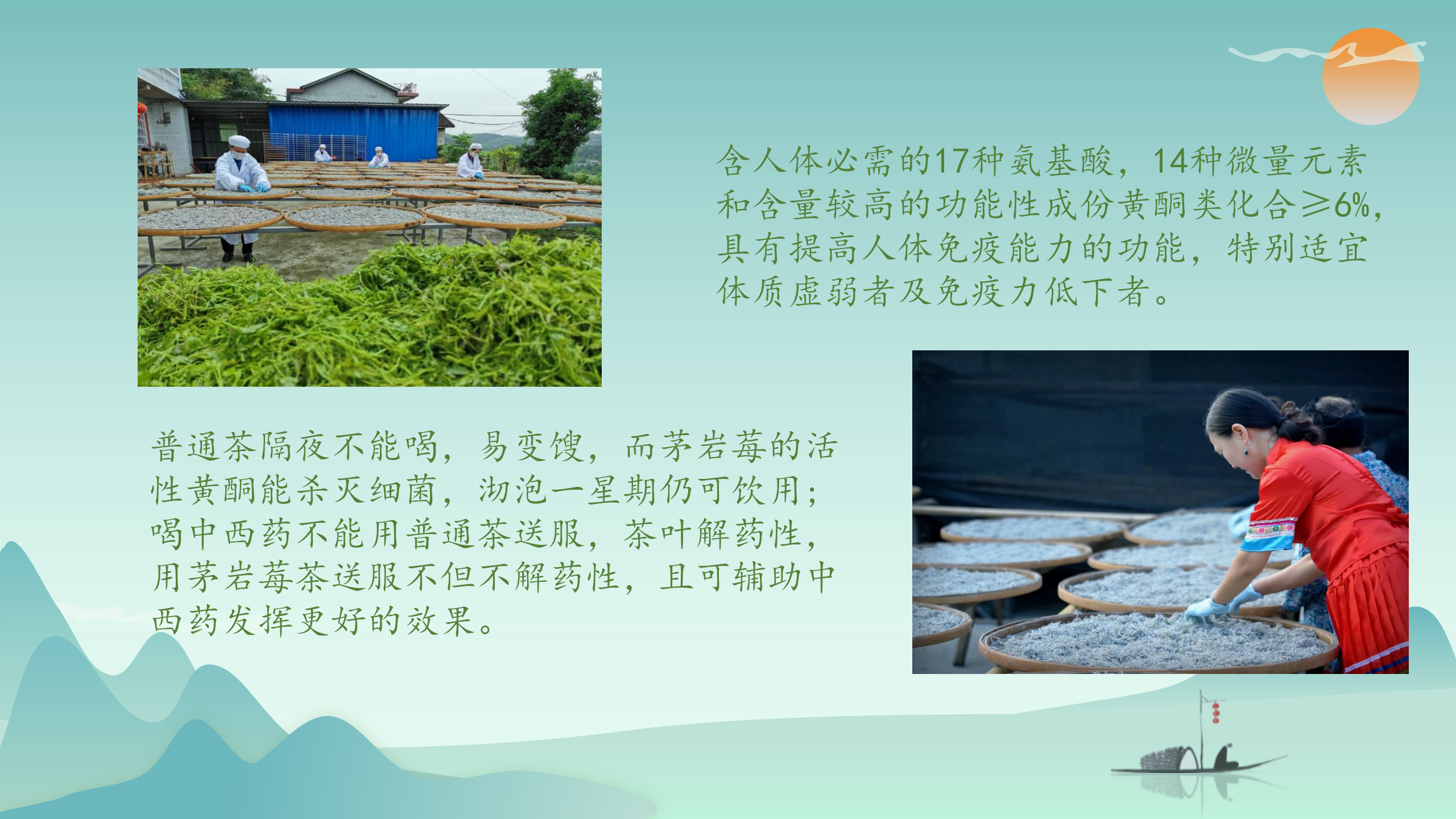 1_莓茶简介_04.png